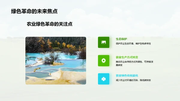 迈向绿色农业