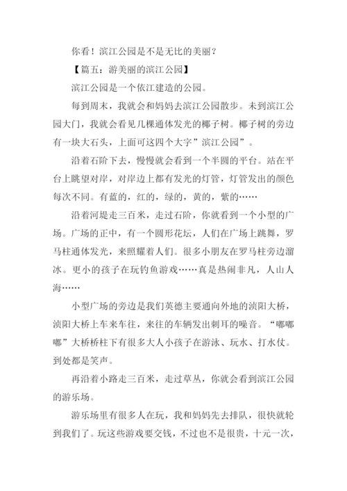 美丽的滨江公园作文.docx