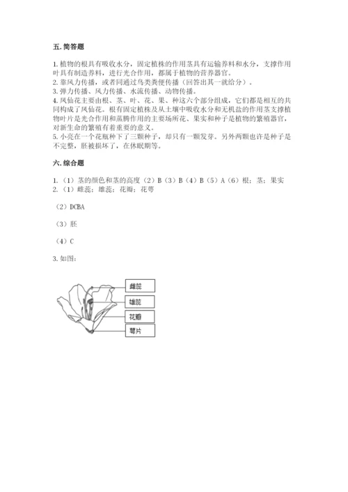 教科版四年级下册科学第一单元《植物的生长变化》测试卷精品（能力提升）.docx