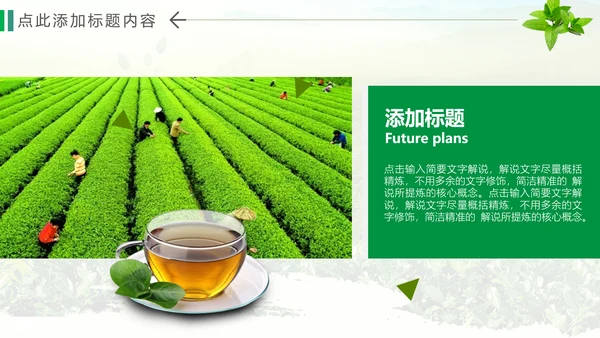 绿色清新茶文化品茶论道动态PPT模板