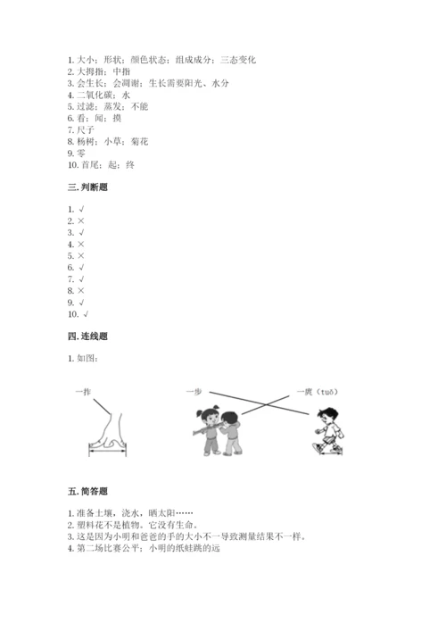 教科版一年级上册科学期末测试卷（实用）word版.docx