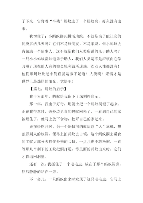 蚂蚁的启示作文300字.docx