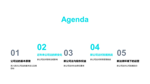公司法解读报告