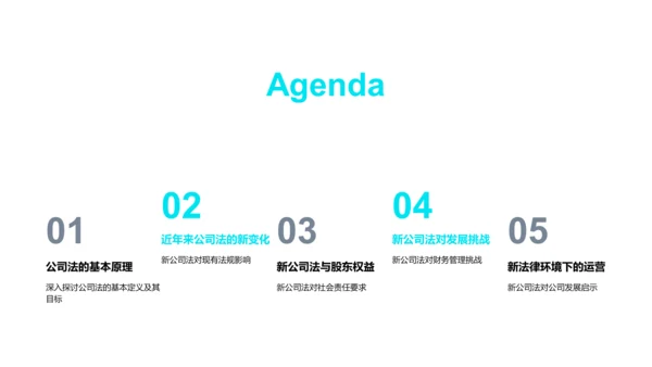 公司法解读报告