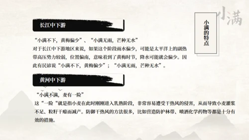 传统节气小满一抹绿色通用PPT模板