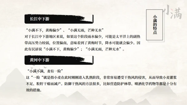 传统节气小满一抹绿色通用PPT模板