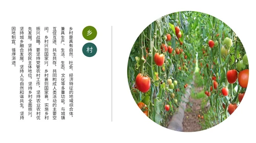 实拍笔刷风格美丽乡村农业介绍新时代农业农村现代化ppt模板