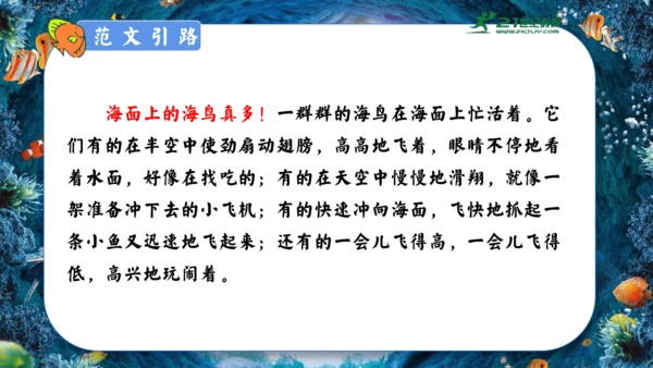 18.富饶的西沙群岛  课件