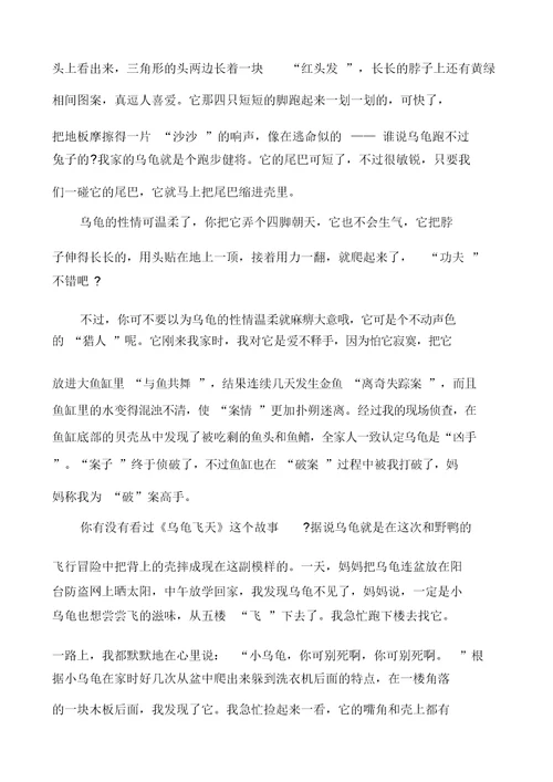 写乌龟的作文800字多篇