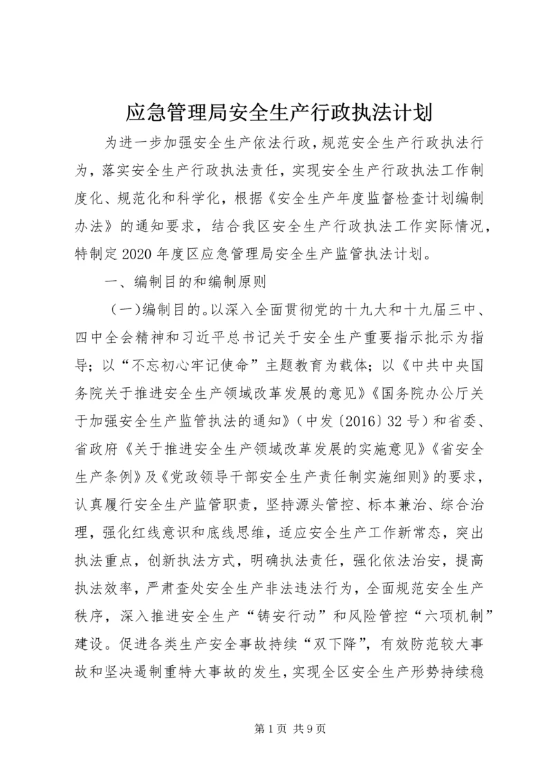 应急管理局安全生产行政执法计划.docx