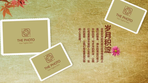 怀旧风格20年同学联谊会PPT模板