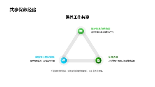 植树环保：公益新行动