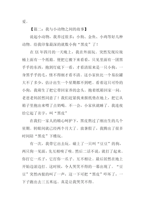 小动物的故事作文-1.docx