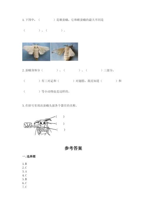 教科版科学三年级下册 期末测试卷【易错题】.docx