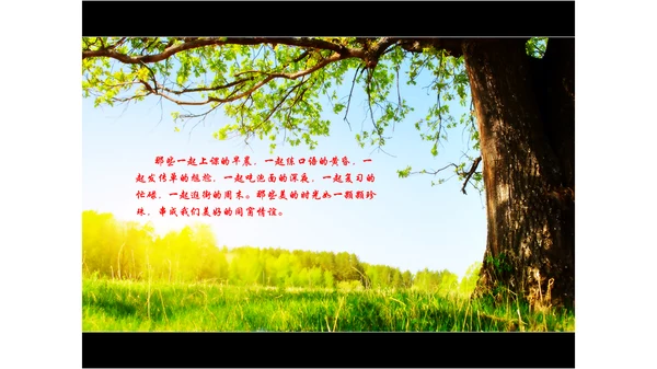 那些年我们一起走过的岁月通用PPT模板