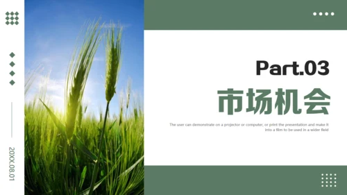 农业项目商业计划书通用PPT模板