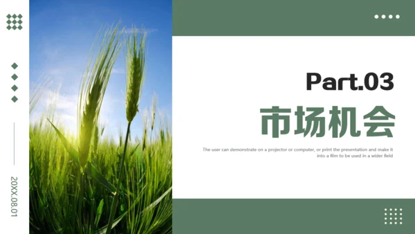农业项目商业计划书通用PPT模板