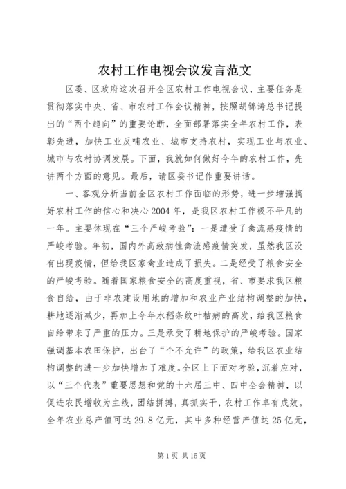 农村工作电视会议发言范文.docx