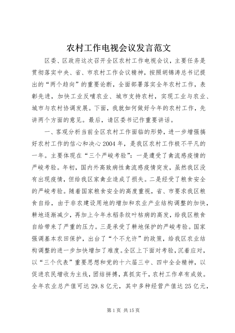 农村工作电视会议发言范文.docx