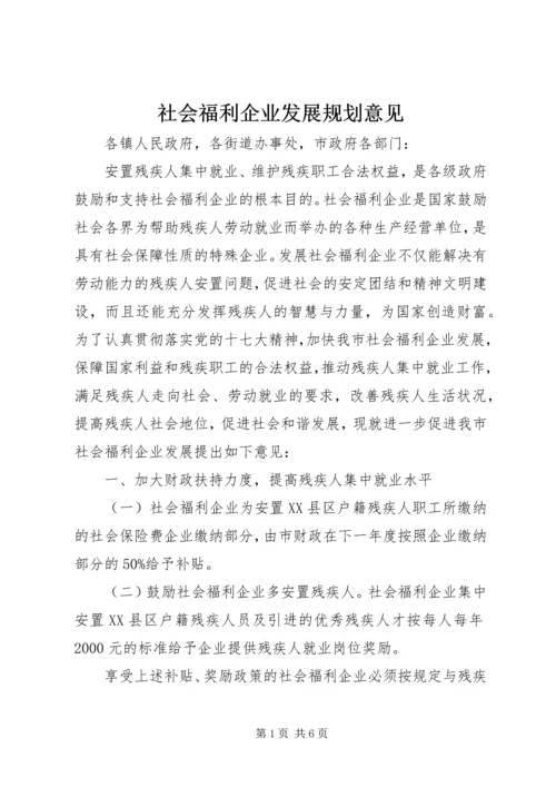 社会福利企业发展规划意见.docx