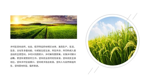 实拍笔刷风格美丽乡村农业介绍新时代农业农村现代化ppt模板