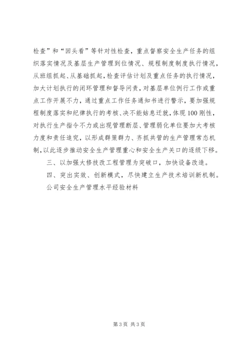 公司安全生产管理水平经验材料 (9).docx