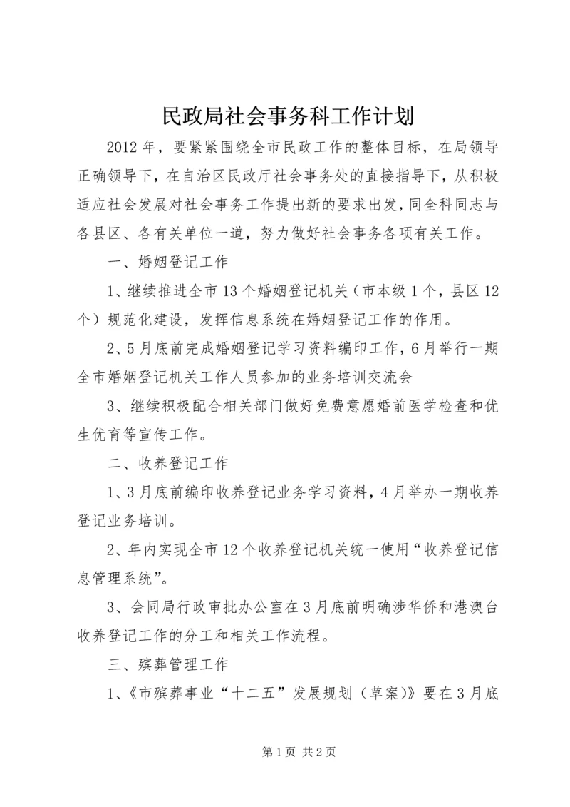 民政局社会事务科工作计划.docx