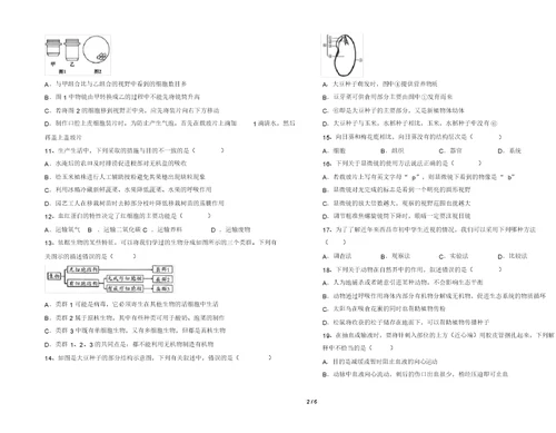 2021年北师大版七年级生物上册期末考试题及答案【完美版】