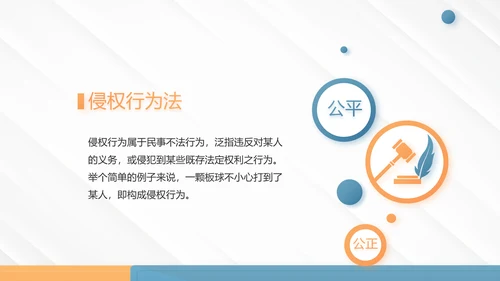 严谨大气法律法学教育宪法宣传依法治国PPT