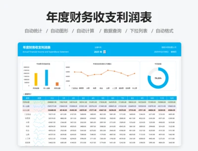 年度财务收支利润表