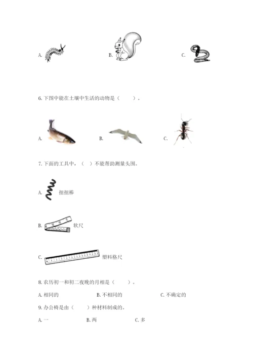 教科版科学二年级上册期末考试试卷【巩固】.docx