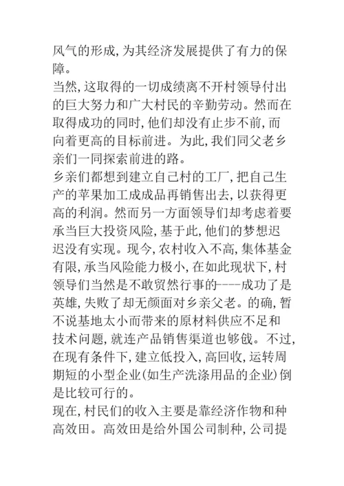 09年大学生三下乡实践论文--精品范文.docx