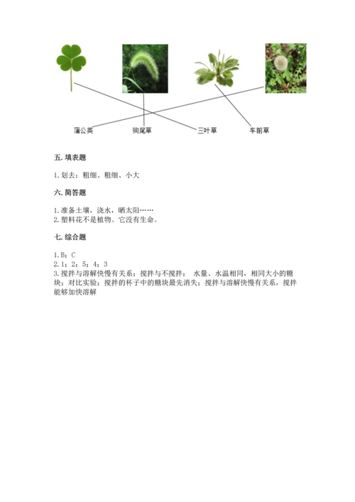 教科版科学一年级上册第一单元《植物》测试卷及答案（精品）.docx