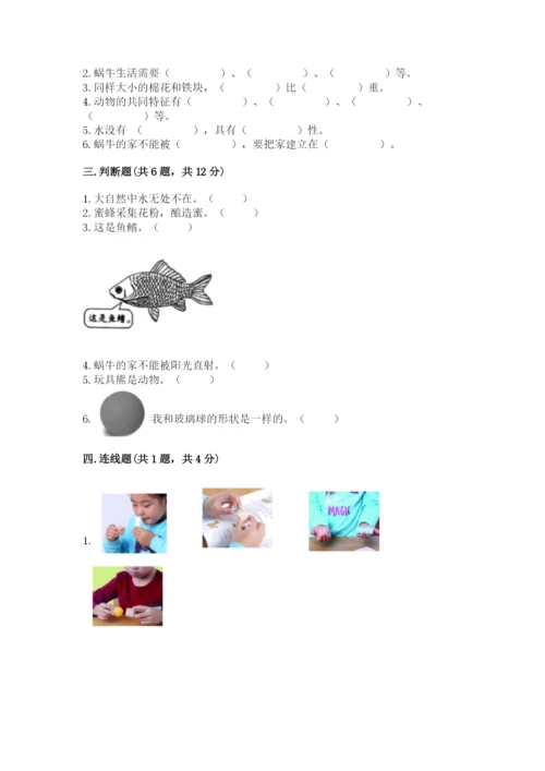 教科版小学科学一年级下册期末测试卷（综合题）.docx