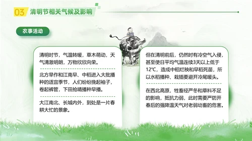 春晓清明悦趣时光清明节春雨嫩绿色PPT模板
