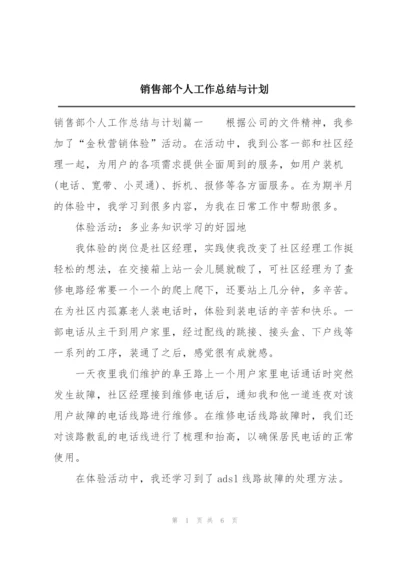 销售部个人工作总结与计划.docx