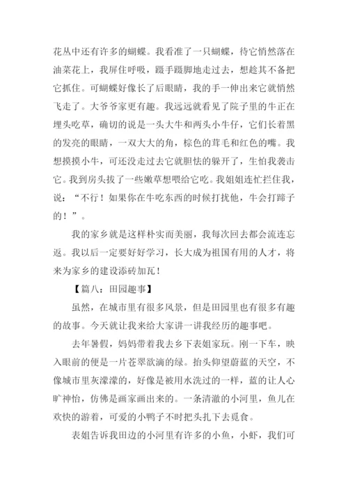 田园趣事作文.docx