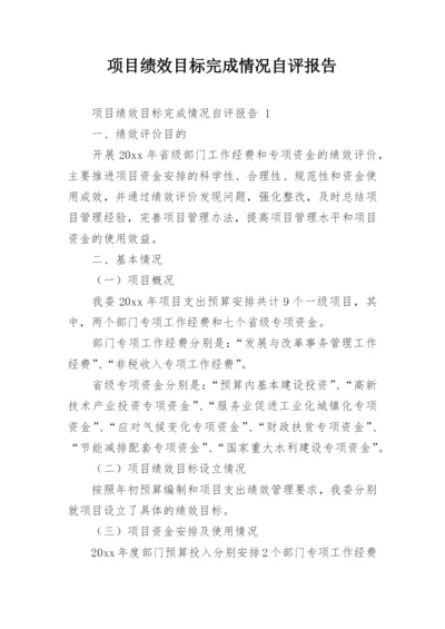 项目绩效目标完成情况自评报告.docx