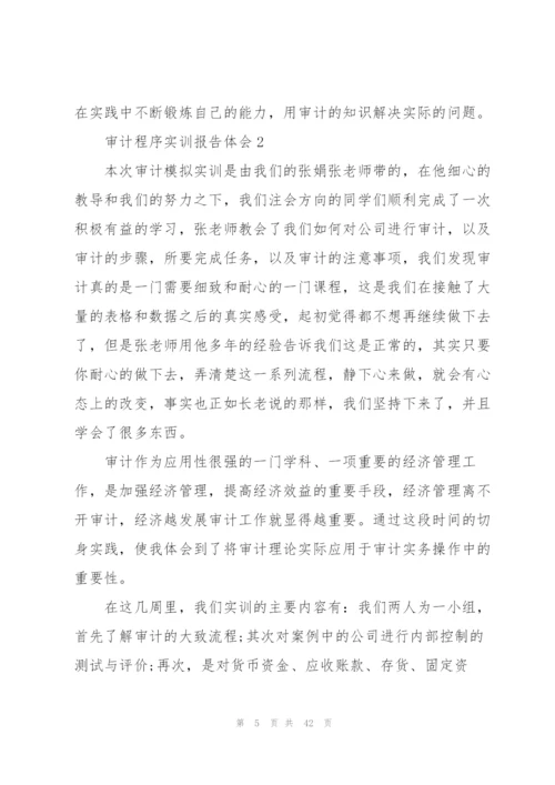 审计程序实训报告体会范本10篇.docx