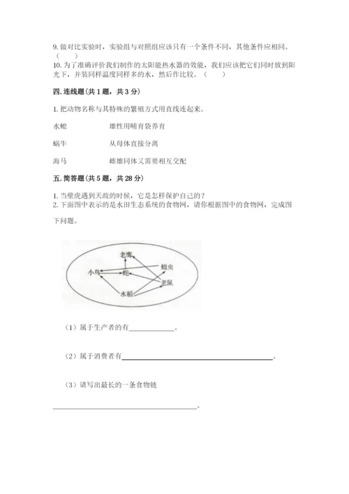 教科版科学五年级下册第一单元《生物与环境》测试卷含答案【精练】.docx