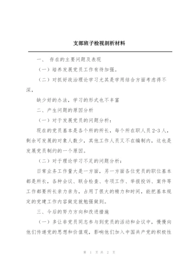 支部班子检视剖析材料.docx