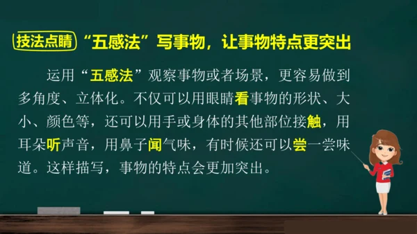 统编版语文三年级上册 第五单元习作： 我们眼中的缤纷世界课件
