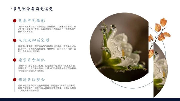 瓷青色简约风寒露节气PPT模版