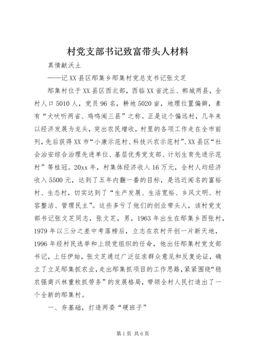 村党支部书记致富带头人材料 (2).docx