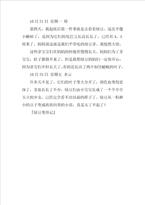 绿豆变形记作文600字