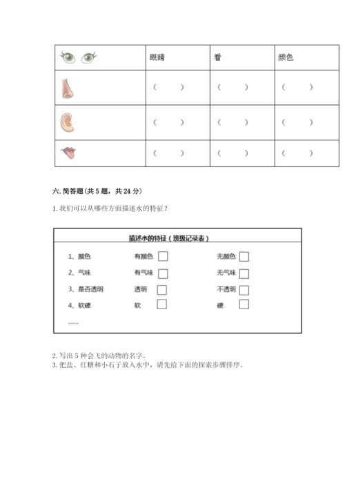 教科版小学科学一年级下册期末测试卷【基础题】.docx