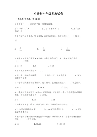 小升初六年级期末试卷（实用）.docx