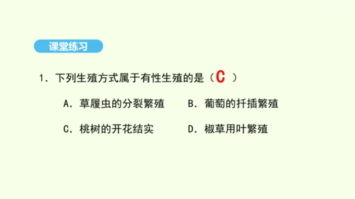 7.1.1植物的生殖课件-人教版生物八年级下册(共33张PPT)