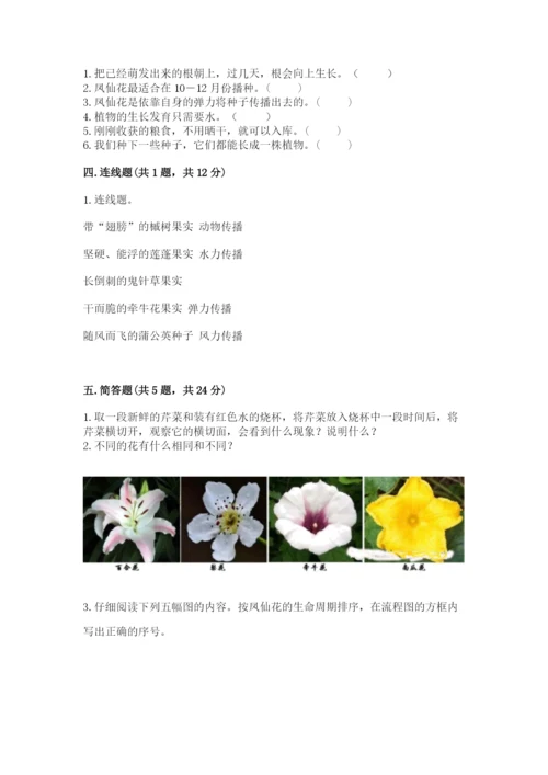 教科版科学四年级下册第一单元《植物的生长变化》测试卷精品（能力提升）.docx