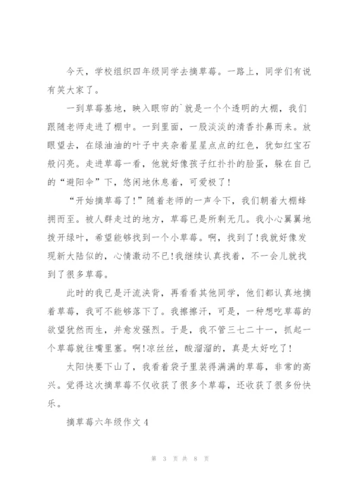 摘草莓六年级作文10篇.docx